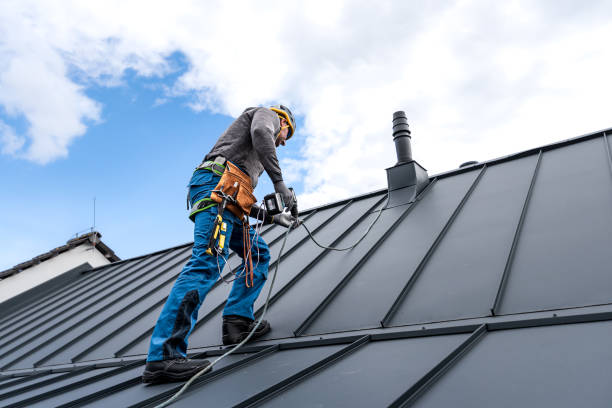 Professional Roofing Service in Newaygo, MI