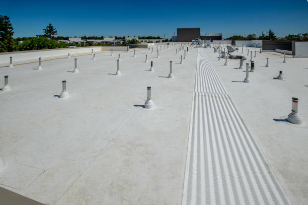 Best Roof Coating and Sealing  in Newaygo, MI